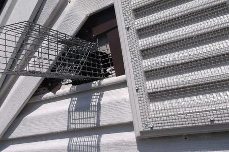 vent screening and exclusion trap bowling green
